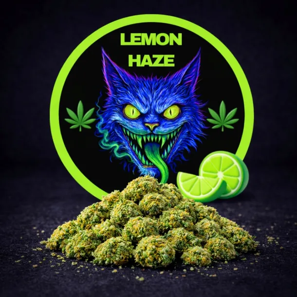 Susz CBD Lemon Haze 18,3% 30G Susz Konopny Premium Aromat Cytrus + GRATISY