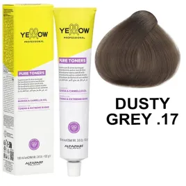 alfaparf-yellow-pure-toners-toner-do-wlosow-dusty-grey-17-100ml