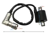 cewka-wn-falcon-2t