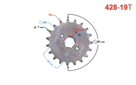 zebatka-zdawcza-moretti-19-428-do-tz125