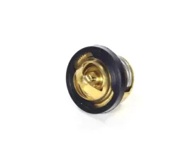 termostat-atv-200-quad-nevada-bashan-loncin-shineray-linhai-kingway-adly
