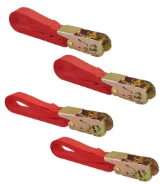 zestaw-4-pasow-transportowych-z-klamra