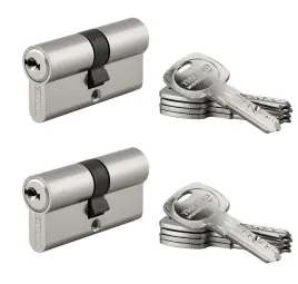 zestaw-2-wkladek-trafic-6-30x30-mm-master-key-nikiel-10-kluczy-or-thirard