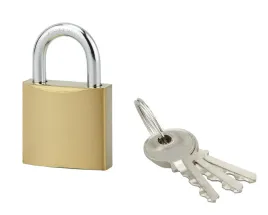 klodka-acera-30-mm-palak-ze-stali-hartowanej-3-klucze-folia