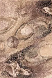 dywan-welniany-200x200-cm-bezowy-z-niskim-wlosem-do-salonu-kwadratowy