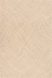 nowoczesny-dywan-200x300-cm-bezowy-do-salonu-welniany-prostokatny-agnella