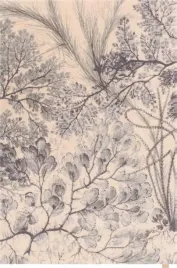 miekki-dywan-300x400-bezowy-do-salonu-100percent-welna-gesty-prostokatny-agnella