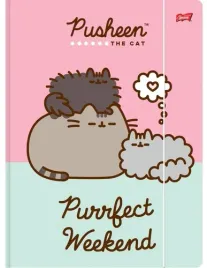 teczka-z-gumka-a4-kotek-pusheen-kartonowa-szkolna-rozowa-unipap