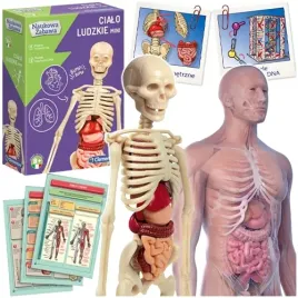 cialo-ludzkie-mini-anatomia-czlowieka-szkielet-naukowa-zabawa-clementoni