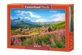 puzzle-hala-gasiennicowa-1000-castorland-c-104512
