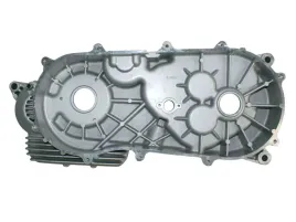 karter-lewy-kompletny-atv-alaska-300-dinli-quad-barossa-masai-bashan