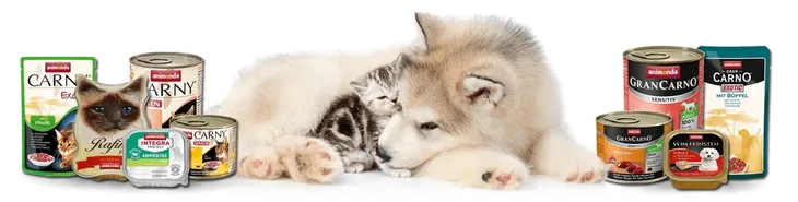 idziemy-do-ciebie-matko