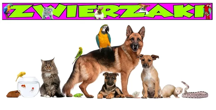 idziemy-do-ciebie-matko