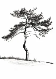 plakat-594x841cm-samotna-sosna