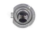 zarowka-12v-55w-h7-wb-brak-ece