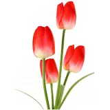 tulipany-solarne-kwiaty-led-solar-wbijane-ozdoba-lampa-tulipan-do-ogrodu-rodzaj-czujnik-zmierzchu