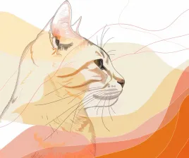 plakat-60x50cm-delikatny-profil-kota