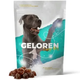 geloren-large-dog-420g-zelki-dla-duzych-psow-na-stawy-kolagen-60-sztuk