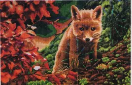 haft-diamentowy-60x40-cm-mozaika-wilczek-lisek-duzy-diamond-painting