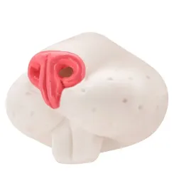 nos-krolika-kroliczek-zajaczek-wielkanoc