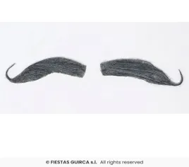 wasy-bawarczyka-szare-was-szary-zakrecony