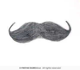 was-anglika-szary-zarost-anglik-zakrecone-zawiniete