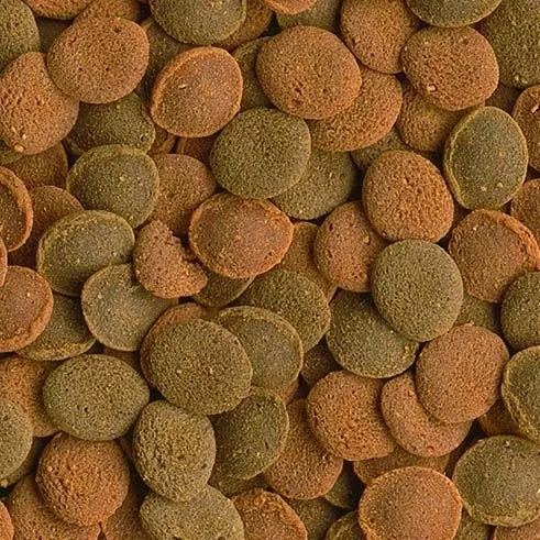 tetra-wafer-mix-100ml-tetra-data-waznosci-ponizej-2-tygodni-od-momentu-zakupu