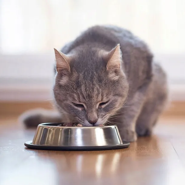 brit-premium-cat-sterilized-salmon-15kg-brit-stan-opakowania-oryginalne
