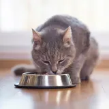 brit-premium-cat-sterilized-salmon-15kg-brit-stan-opakowania-oryginalne