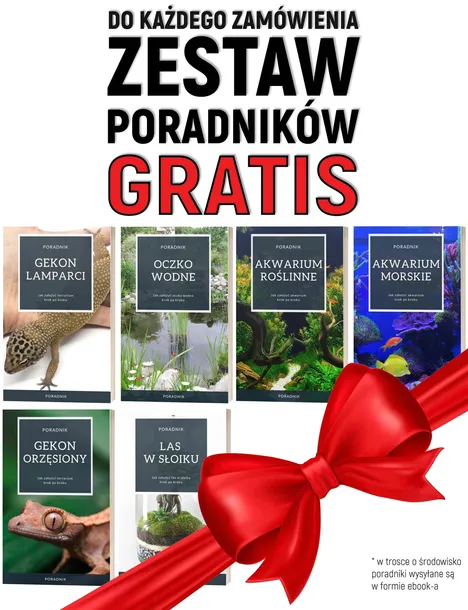 tetra-micro-sticks-100ml-tetra-postac-granulat