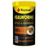 tropical-meal-worms-250ml-tropical-marka-tropical