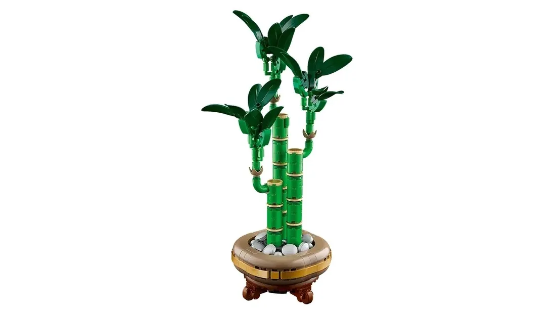 lego-botanical-collection-10344-dracena-sandera-stan-nowy
