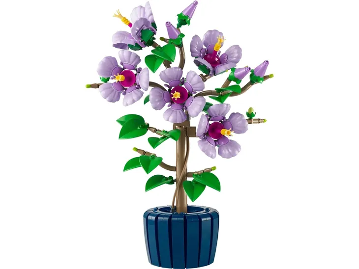 lego-botanical-collection-10372-hibiskus-plec-brak-informacji
