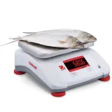 ip68-valor-2000-marka-ohaus