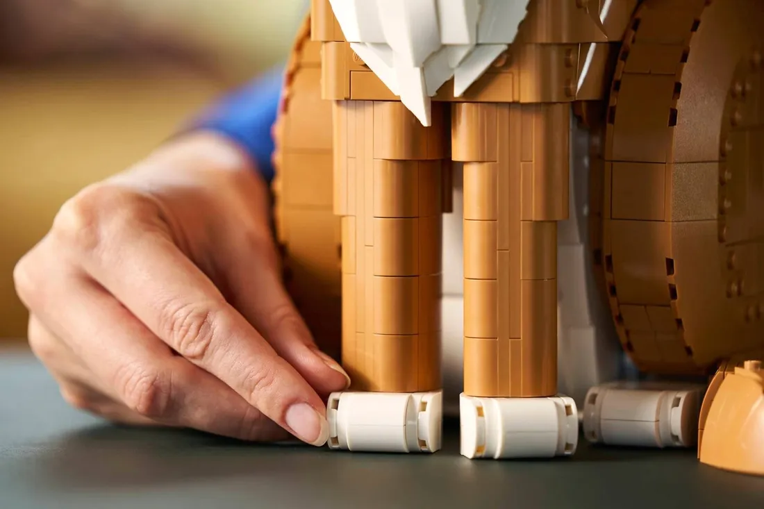 lego-ideas-21376-rudy-kot