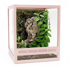 zestaw-terrarium-szklane-10x10x10cm-z-ramkami-rozowy