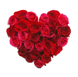 naprasowanka-aplikacja-naklejka-na-odziez-serce-czerwone-roze