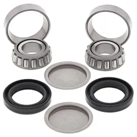 zestaw-naprawczy-wahacza-all-balls-kawasaki-kvf300-brute-force-12-17
