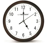 esperanza-zegar-scienny-los-angeles-bialy