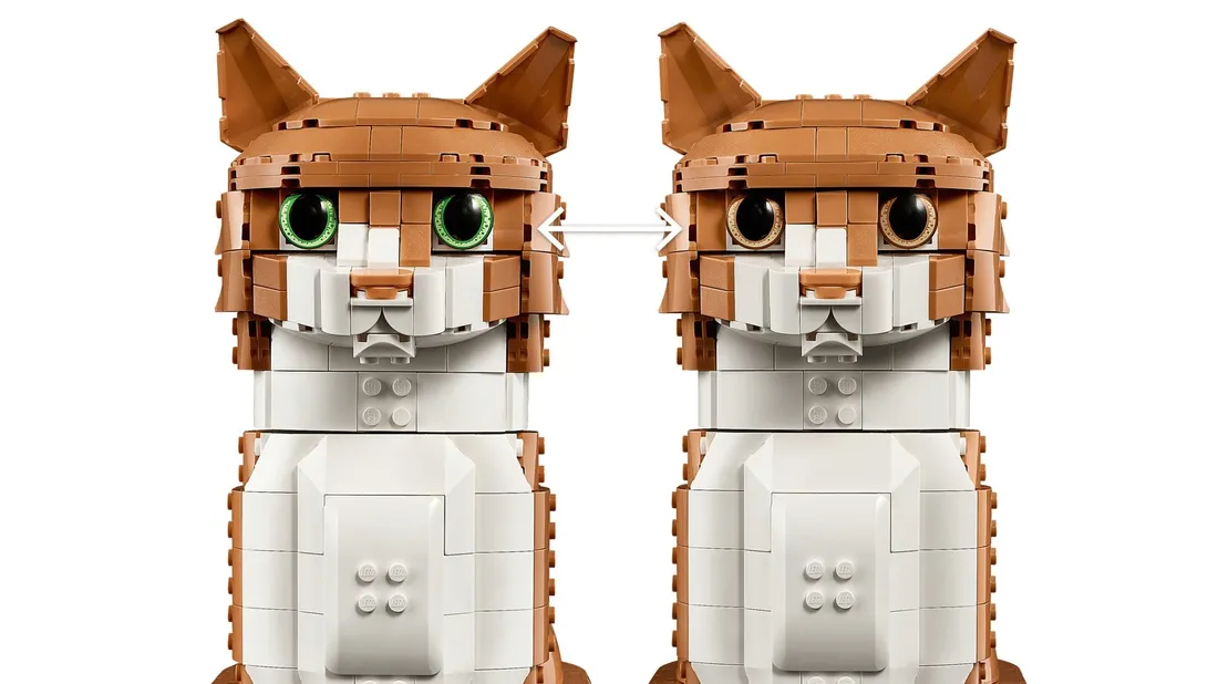 lego-ideas-21376-rudy-kot