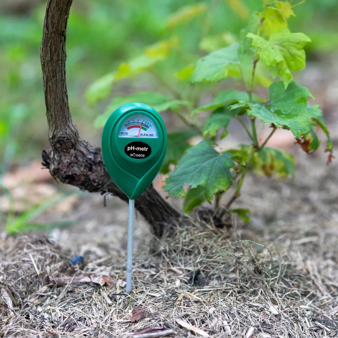 tester-podloza-gleby-ph-metr-glebowy