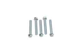 accel-sruba-kolnierzowa-m6x40mm-z-plaskim-lbem-bez-oznaczen-5-szt