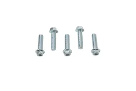 accel-sruba-kolnierzowa-m8x30mm-z-wkleslym-lbem-bez-oznaczen-5-szt