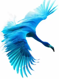 plakat-60x80cm-blekitny-lot