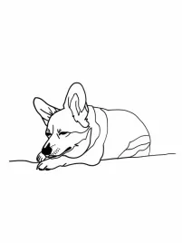 plakat-60x80cm-spiacy-corgacz