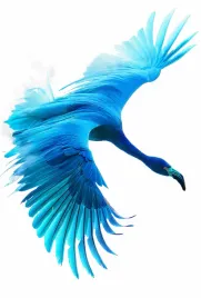 plakat-61x905cm-blekitny-lot