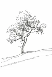 plakat-61x905cm-drzewo-w-zarysie