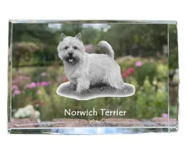 norwich-terrier-krysztal-ze-zdjeciem-psa-zdjecie-w-szkle-nowoczesna-eks