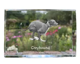 greyhound-chart-angielski-krysztal-ze-zdjeciem-psa-zdjecie-w-szkle-now