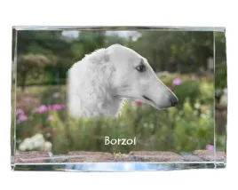 chart-rosyjski-borzoj-borzoi-barzoi-krysztal-ze-zdjeciem-psa-zdjecie-w